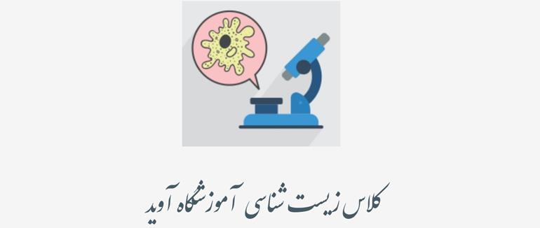 کلاس زیست آموزشگاه مطالعاتی آوید