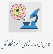 کلاس زیست آموزشگاه مطالعاتی آوید
